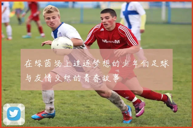 在绿茵场上追逐梦想的少年们足球与友情交织的青春故事