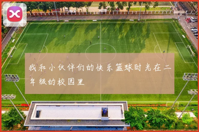 我和小伙伴们的快乐篮球时光在二年级的校园里